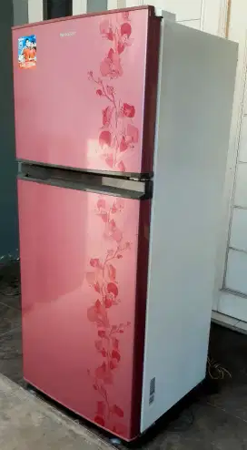 KULKAS SHARP 2 PINTU