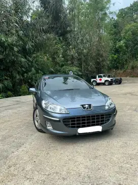 Peugeot 407 2005 Rare