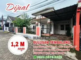 Rumah Siap Huni Dekat Kampus UNDIP Tembalang