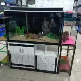 Lowongan jaga toko ikan hias