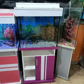 Lowongan jaga toko ikan hias