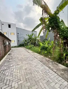 Investasi Emas di Ring 1 UNDIP Tembalang Tanah Luas Siap Bangun Kost