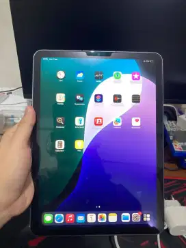 Ipad Air 5 Wifi Cellular 256GB Beacukai