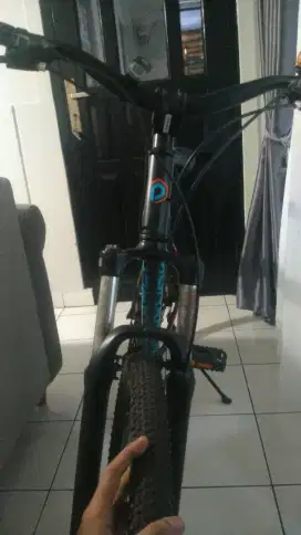 Sepeda Polygon Monarch 5 2019