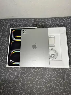 RESMI INTER IPAD PRO 11 M4 256 GB 2024