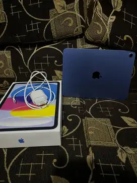 (Preloved) - Ipad 10 - (64GB)