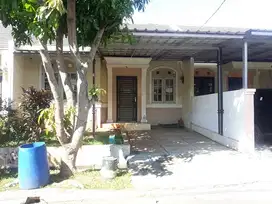 Rumah Cluster Roseville Deltamas Cikarang Luas 119m2 Rp25 Jt/Th 2Kamar