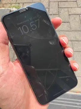 iPhone Xs 256GB iBox Istimewa