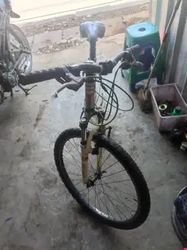 sepeda gunung 26