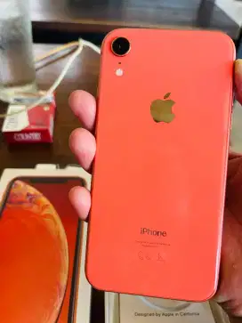 JUAL MURAH BUTUH UANG IPHONE XR 64GB INTER ALL OPERATOR LENGKAP MULUS