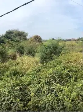 Dijual Tanah Daerah Pergudangan Cerme - Gresik