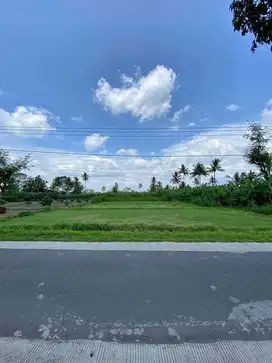 Promo Tanah Kavling Murah Sukoanyar Pakis Malang Pinggir jalan Aspal