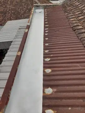 Pemborong/Tukang Talang dan Atap