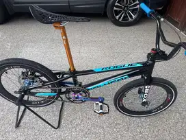Polygon Rogue Like New