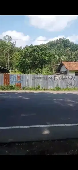 Dijual tanah pinggir jalan propinsi