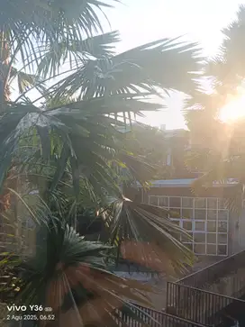 Mengurus orang sakit