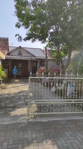 Disewakan : Rumah Keluarga Kecil