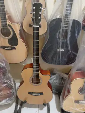 Gitar akustik Taylor premium SDH tanam besi