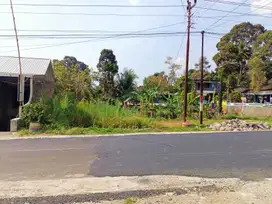 Dijual tanah tepi jalan raya matesih-tawangmangu cocok buat usaha