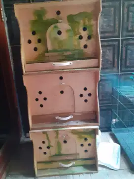 Kandang/Gupon burung dara