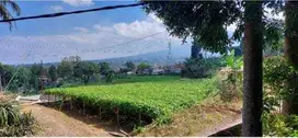 DILELANG MURAH Tanah 10 hektar di Desa Cigendil, Cugenang