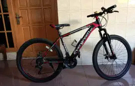 Sepeda gunung evergreen bike