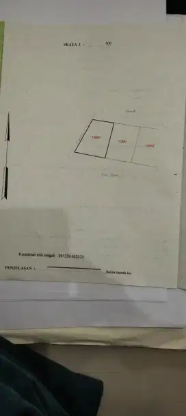Sawah jalur kuning belakang piramid