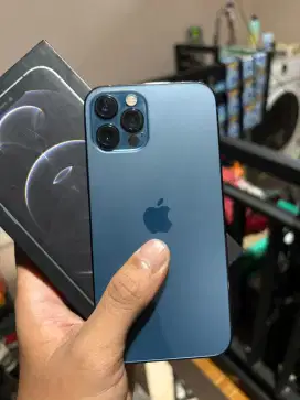 Iphone 12 Pro 256gb All Operator