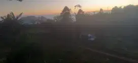 tanah kebun murah di getasan