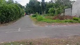 Di Jual Murah Tanah 11 rhu 143 jt lokasi Kota Blitar