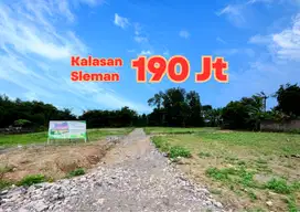 190 Juta Dijual Tanah Murah Jogja