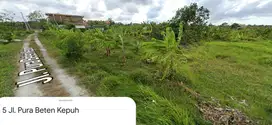 Tanah Prime area Jl Pantai Berawa Canggu