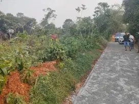 Tanah di desa dandang kec Cisauk lt 1500m cocok untuk workshop