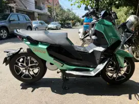 Alva cervo q 2024