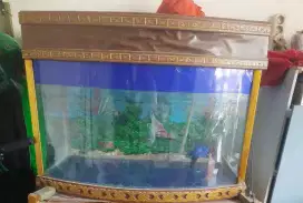 Aquarium cekung