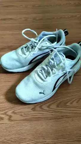 Sepatu Running Puma Sz 41 include Dus