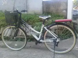 Di jual 1,5 Polygon mulus siap pakai1,51