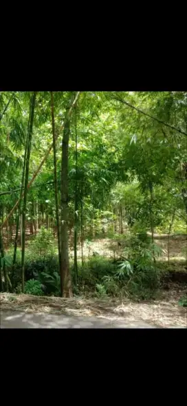 Dijual tanah strategis 1500 m