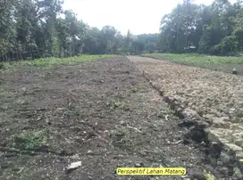 Investasi Untung, Beli Tanah Murah Di Ciampea 11 Menit IPB Dramaga.