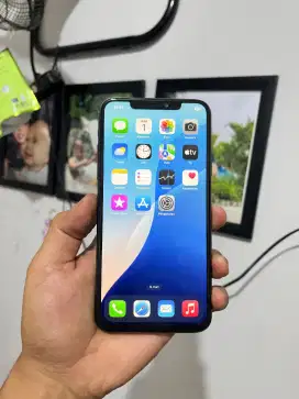 Iphone 11 promax 256gb wifi only