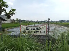 JUAL TANAH TEGALAN 3631M2 SHM