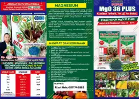 Pupuk Tanaman MgO 36 Plus