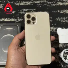 iPhone 12 Pro 256Gb Gold Resmi Beacukai Setara iBox No Minus
