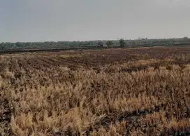 Tanah Kelurahan Datinawong Kec Babat Kab Lamongan