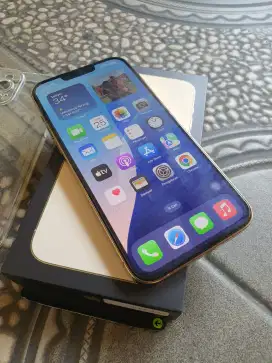 Iphone 13 Pro Max 128Gb