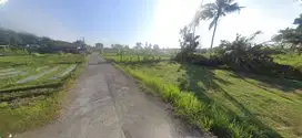 Luas 500 an m2; Tanah View Sawah di Kaliurang Km 10