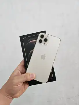 iPhone 12 Pro Max 128 128Gb Mulus - Resmi iBox #Relax