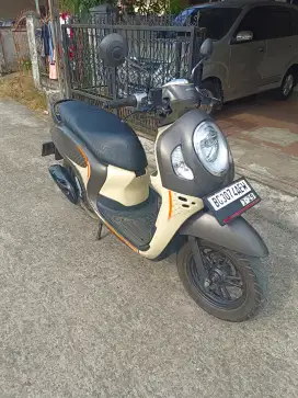Scoopy Fashion 2024