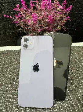 Iphone 11 64gb resmi ibox