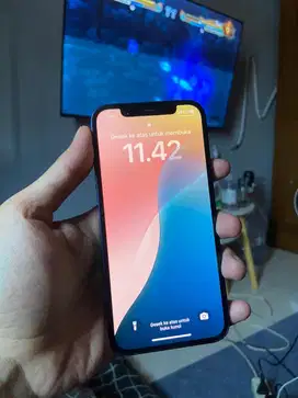 Iphone 12 64 inter